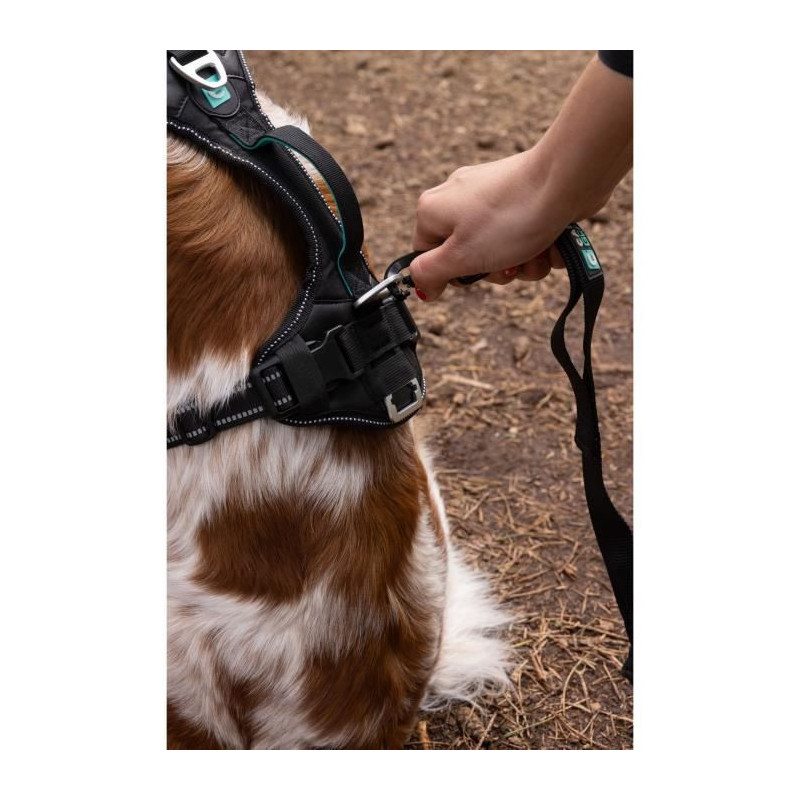 Dog Harness - SYMBIOZ - XXS - Black / Blue