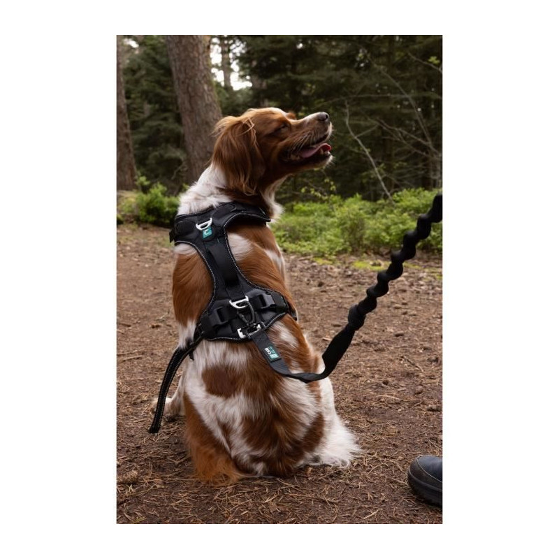 Dog Harness - SYMBIOZ - XXS - Black / Blue