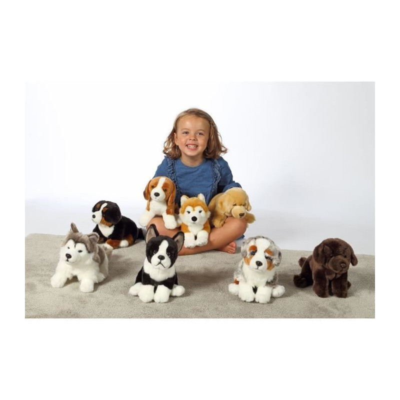 Peluche Chien Bouvier Bernois - GIPSY TOYS - Assis, 25 cm