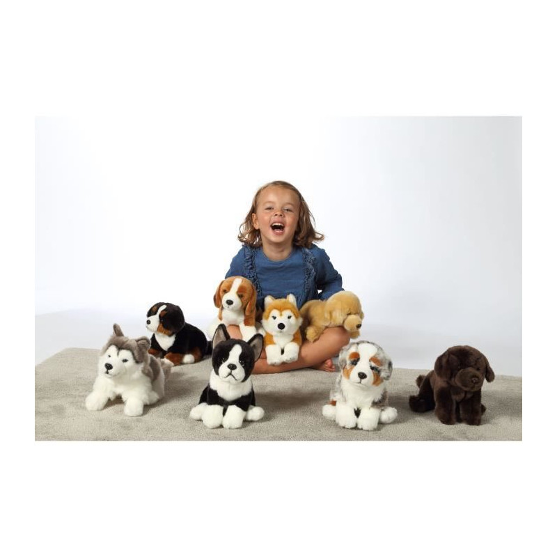 Peluche Chien Bouvier Bernois - GIPSY TOYS - Assis, 25 cm
