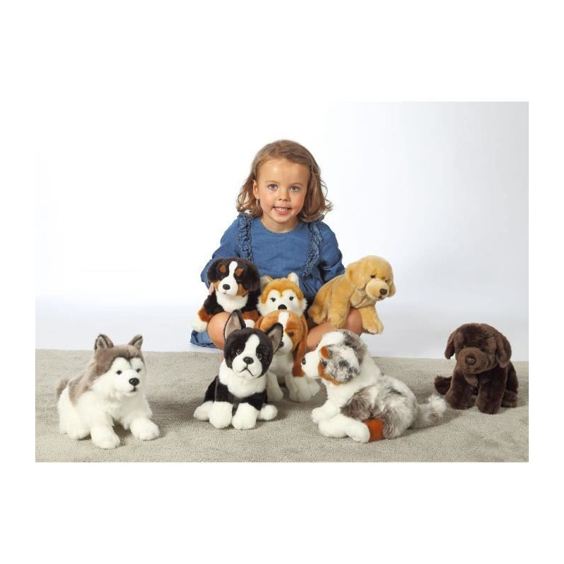 Peluche Chien Bouvier Bernois - GIPSY TOYS - Assis, 25 cm