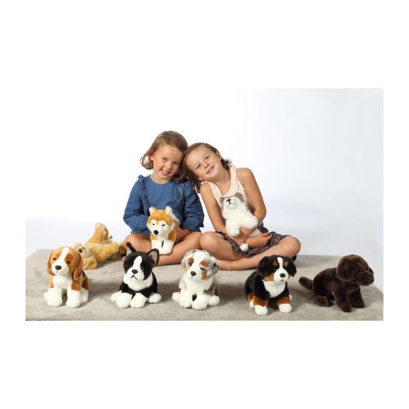 Peluche Chien Bouvier Bernois - GIPSY TOYS - Assis, 25 cm