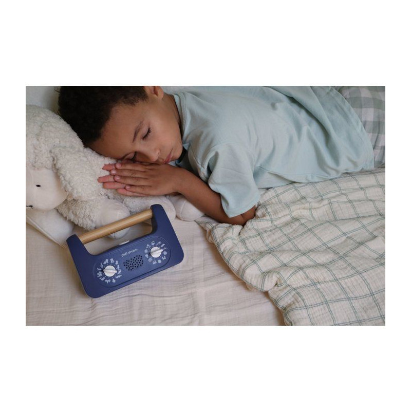 Petit Dream - Conteuse sommeil - MORPHEE - 288 histoires apaisantes -
