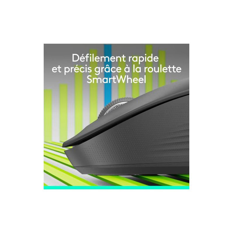 Souris - Sans fil - Logitech - M550 L - Graphite