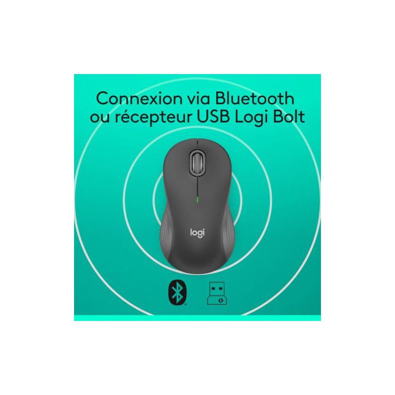 Souris - Sans fil - Logitech - M550 L - Graphite