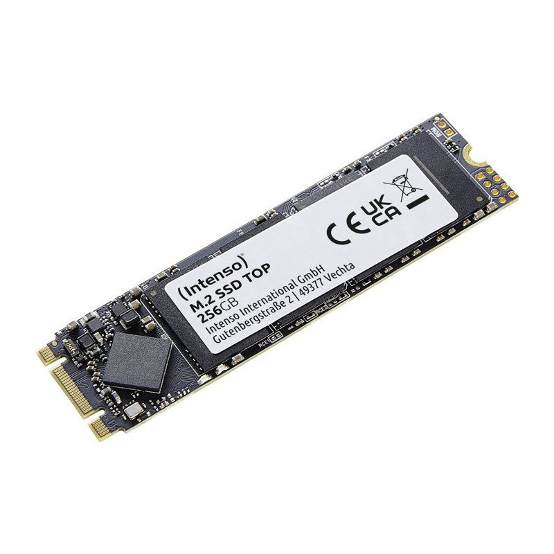 INTENSO - Top - SSD Interne - 256 Go - M.2 SATA III 6 Gb/s - Vitesse d