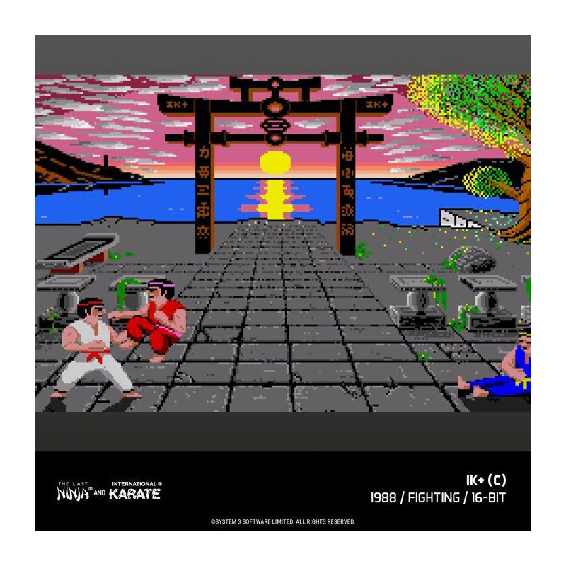 The Last Ninja & IK Collection - Cartouche - 14 jeux classiques inclus