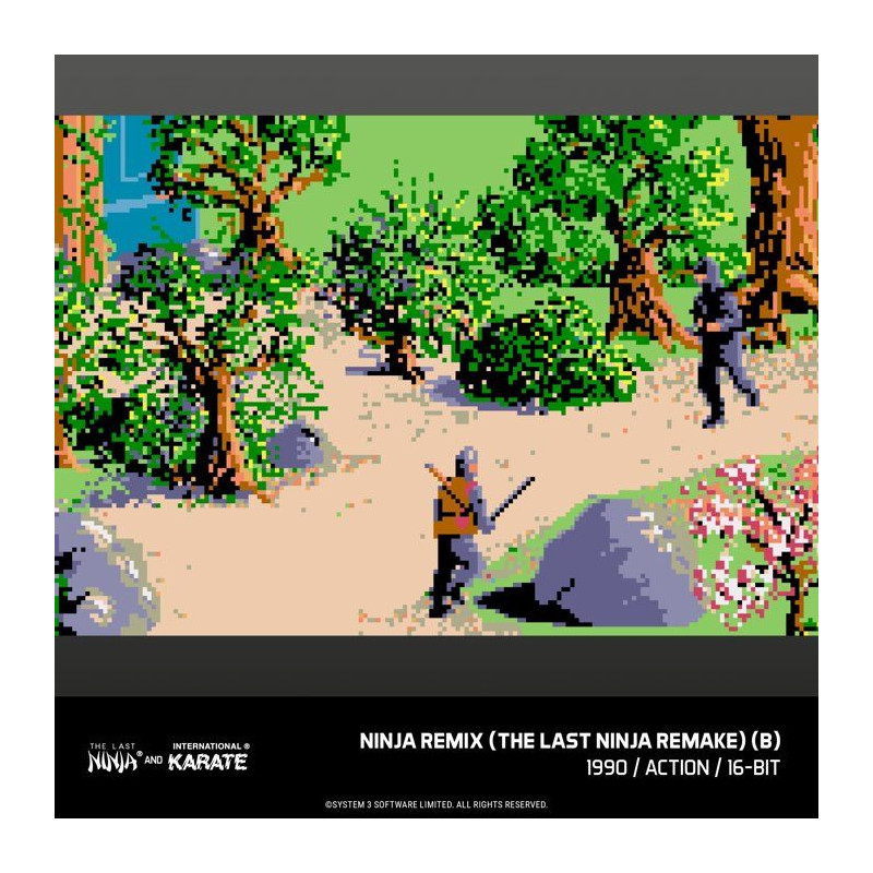 The Last Ninja & IK Collection - Cartouche - 14 jeux classiques inclus