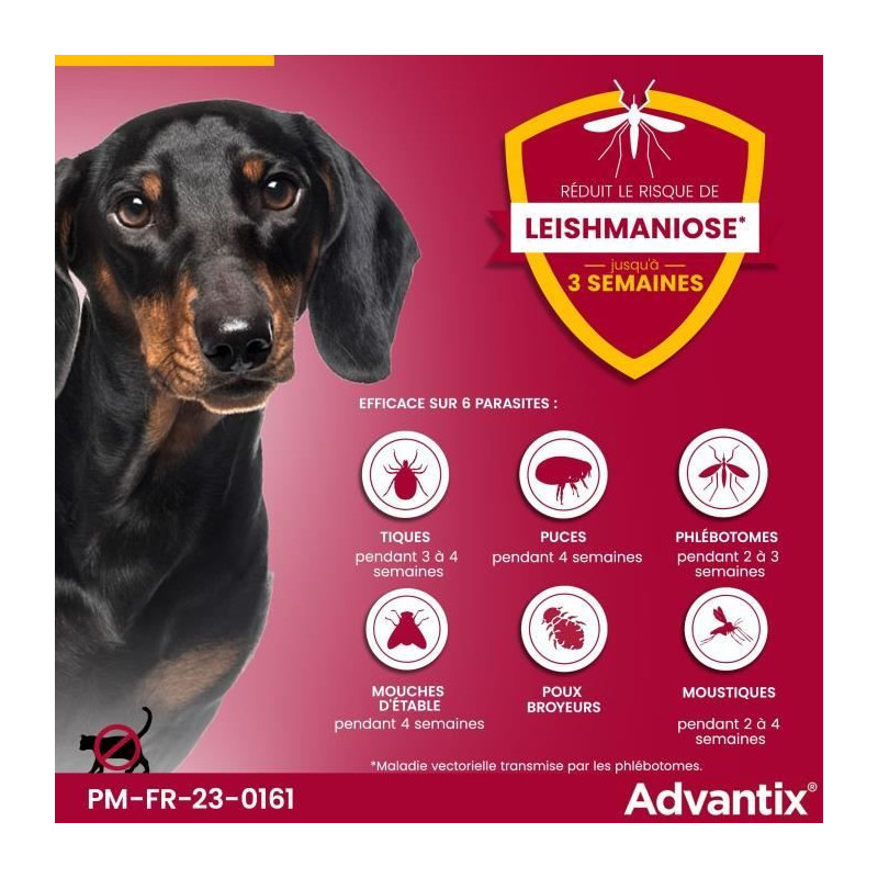 Advantix Dog very small breed antiparasitic solution 1.5 to 4kg 6 pipe