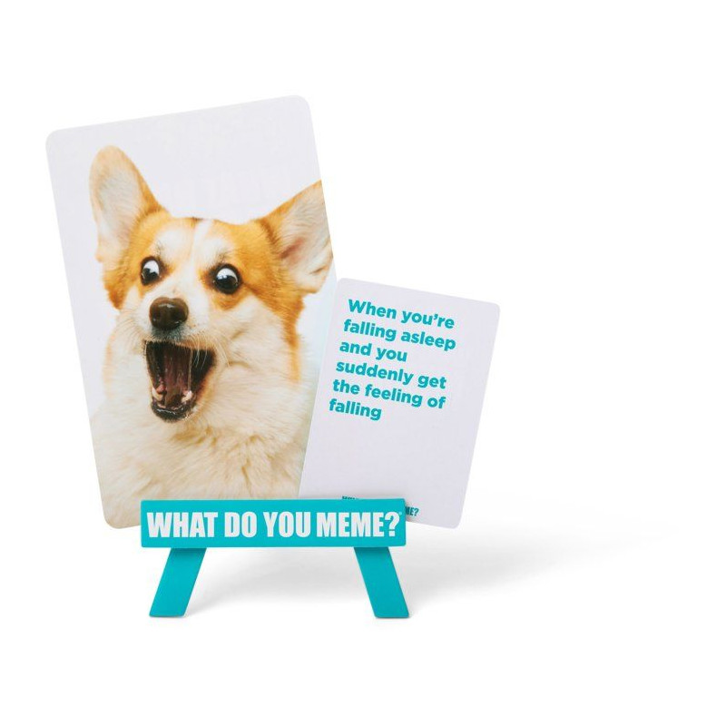 Jeu d'ambiance familial - WHAT DO YOU MEME - Family Edition - Humour e