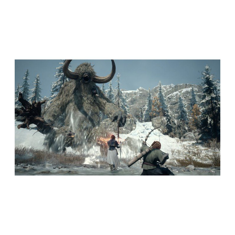 Dragon's Dogma II: Dark Arisen • Jeu Nintendo Switch 2