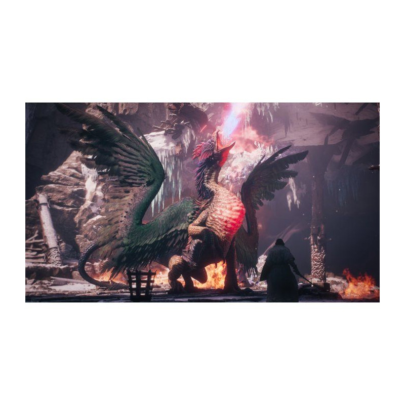 Dragon's Dogma II: Dark Arisen • Jeu Nintendo Switch 2