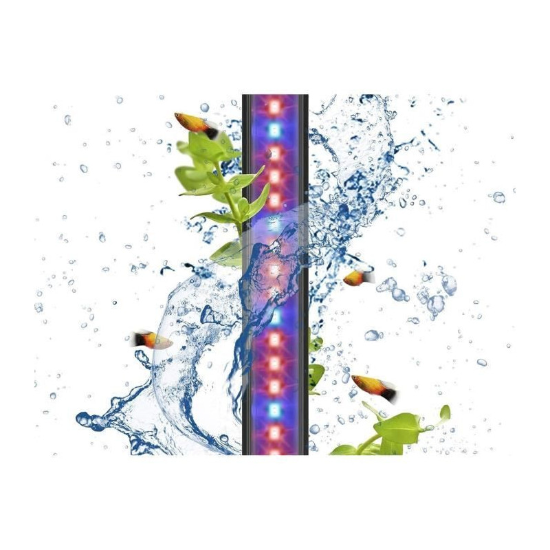 CIANO CLN5 white and RGB 1.5W led ramp + transformer for nexus Betta L