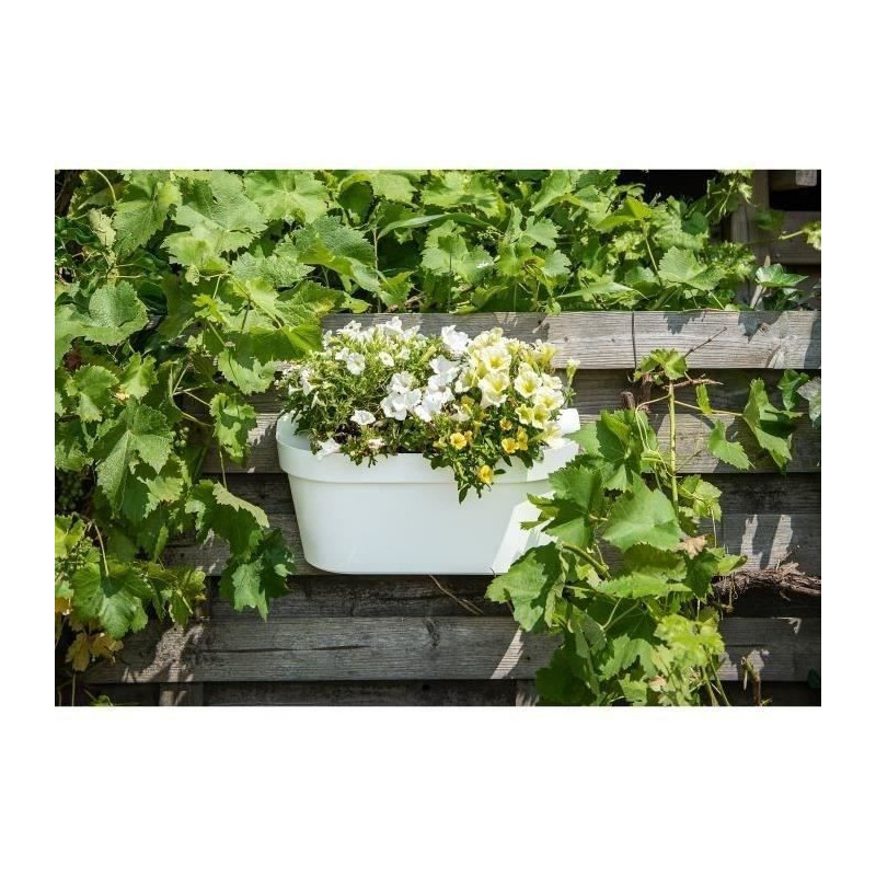 Planter + hook - GARDEN ID Star - White 50 x 21 cm - Easy fixing - Wat