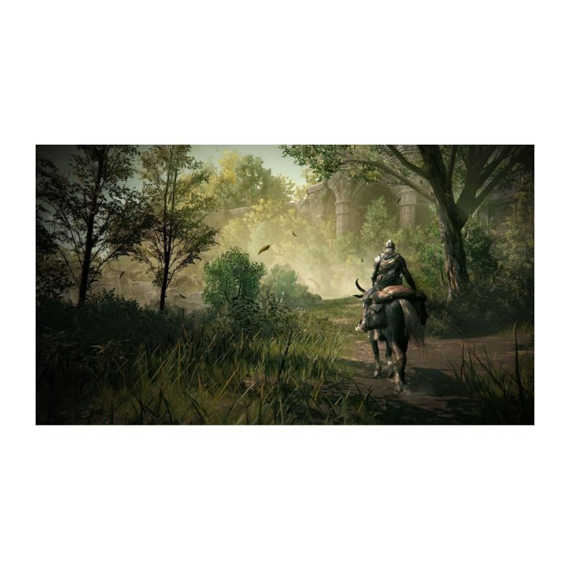 Elden Ring Shadow Of The Erdtree Goty - PS5 Game