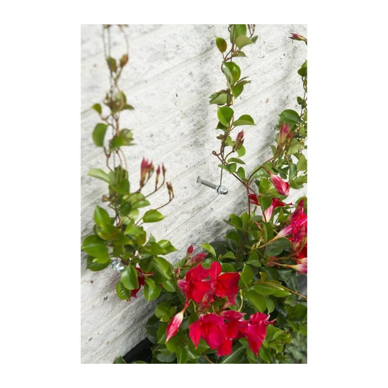 Metallic trellis Nature 6040760 - For climbing plants