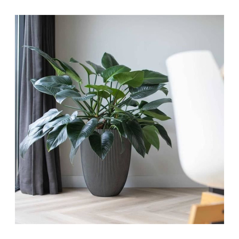 Capi Elegant Groove Vase 46x58 cm Anthracite 445501