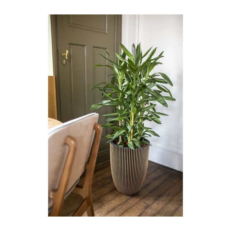 Capi Elegant Groove Vase 46x58 cm Black and gold 445495
