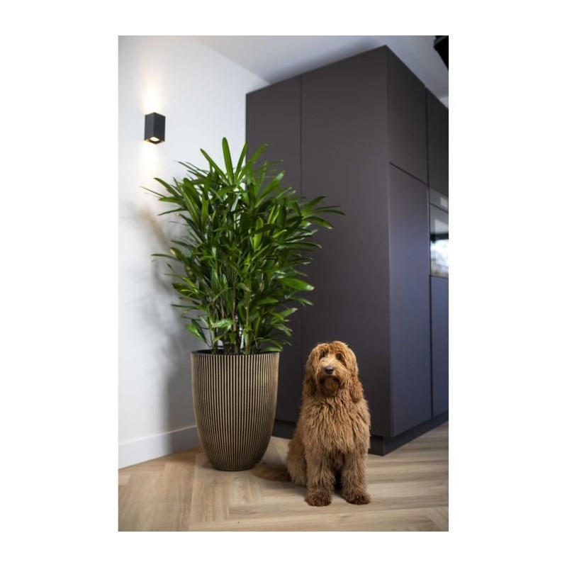 Capi Elegant Groove Vase 46x58 cm Black and gold 445495