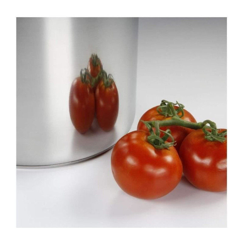 BAUMALU Stainless steel caterer + glass lid - 30 cm