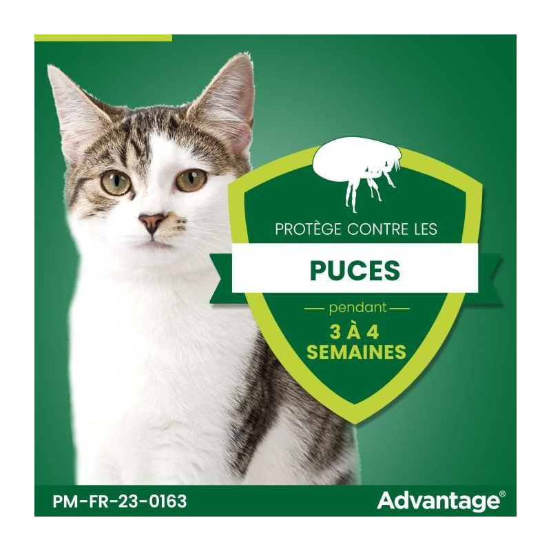 Advantage antipuce rabbit chat solution +4kg 4 pipettes