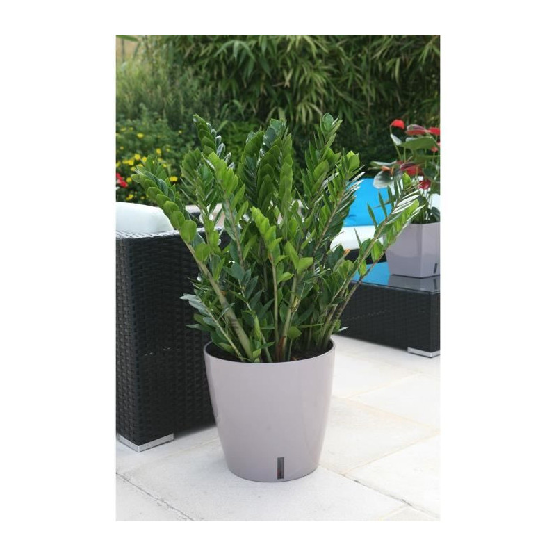 Riviera Round Pot Eva New Plastic - Ø 46 cm - 49 L - Taupe