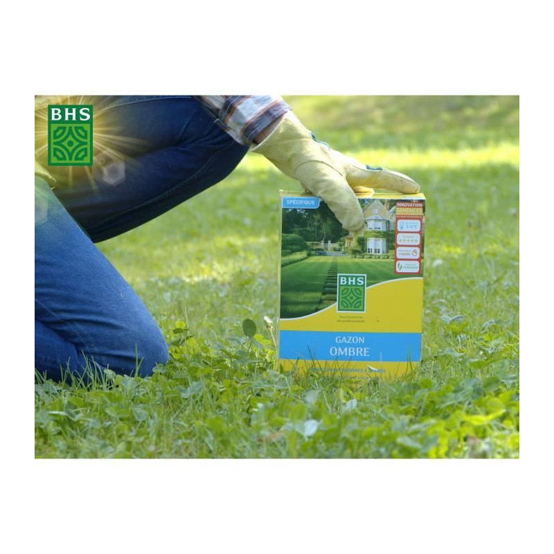 Lawn - BHS - Shade Lawn 1kg | 40m² | Resistant to low light and shade