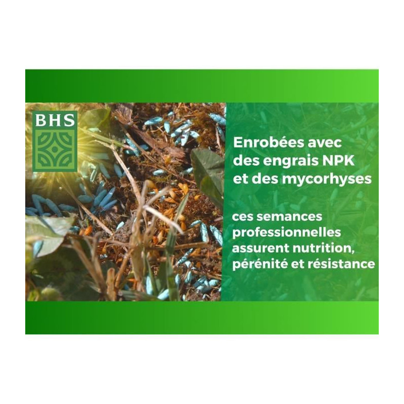 English Turf - BHS - 10kg for High-End Gardens