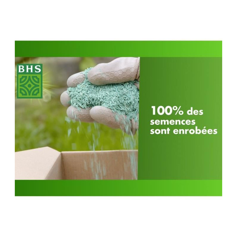 Lawn - BHS - Seaside Lawn 10kg | Resistant to wind, drought, and salt