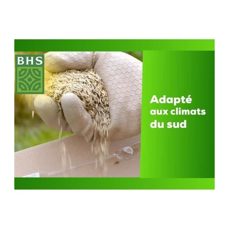 Lawn - BHS - Seaside Lawn 10kg | Resistant to wind, drought, and salt
