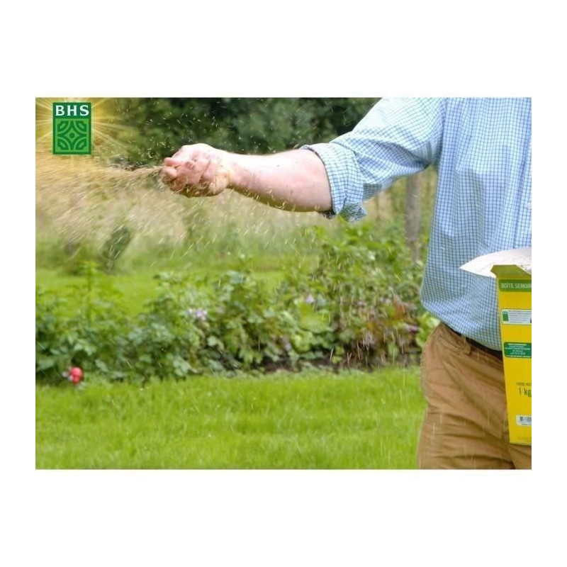 Lawn - BHS - Seaside Lawn 10kg | Resistant to wind, drought, and salt