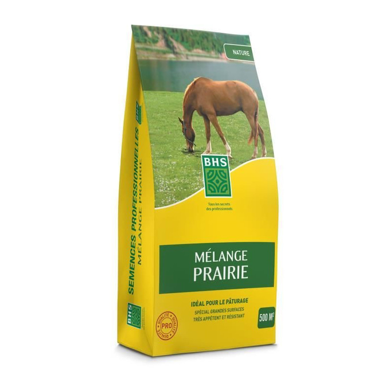 Grass - BHS - Meadow Mix 5kg | 500m² | For extensive areas and pastur