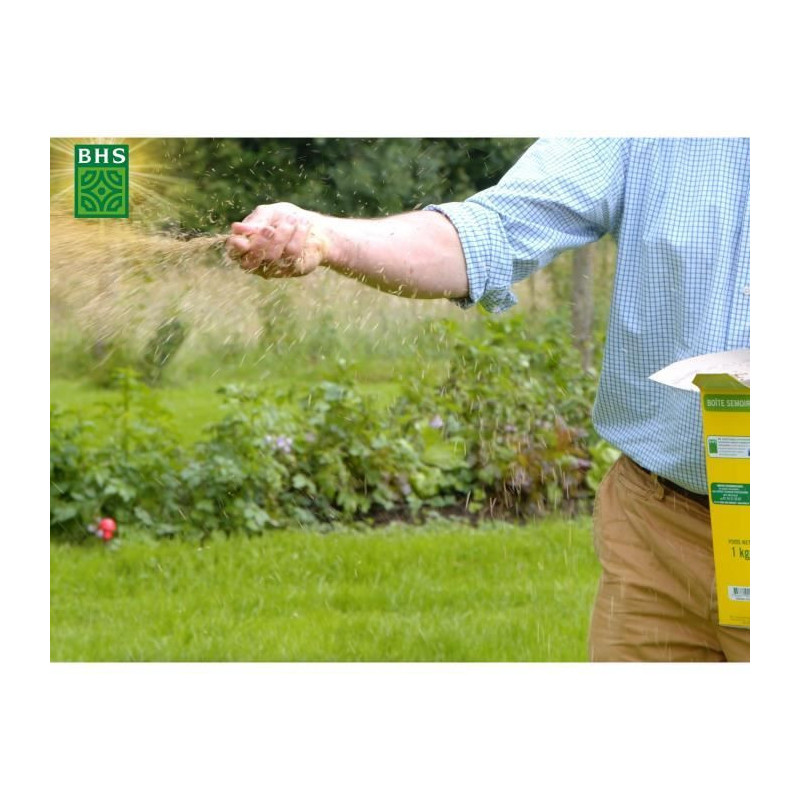 Grass - BHS - Meadow Mix 5kg | 500m² | For extensive areas and pastur