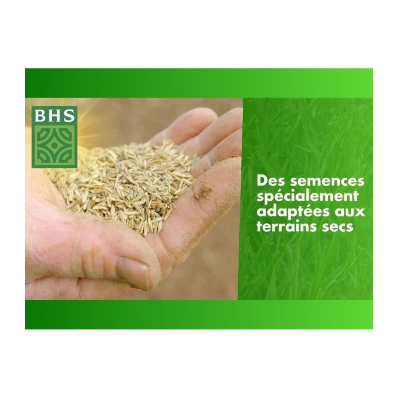 Dry Ground Regrowth Turf - BHS - 3kg | 150 m² | Strong and durable, w