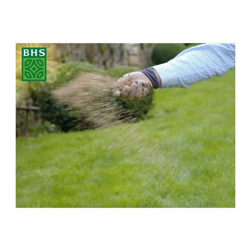 Lawn - BHS - Rustic Lawn 20kg, for traditional gardens and all types o