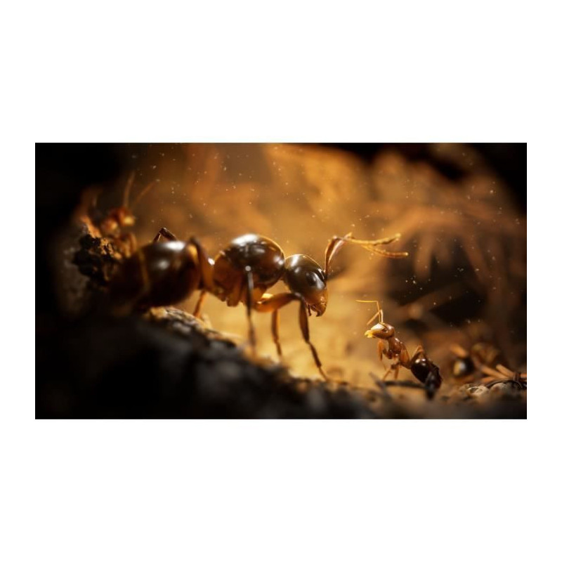 The Ants Empire Of The Ants - PS5 Game - Limited Edition