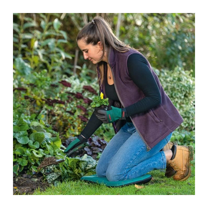 Hand transplanter