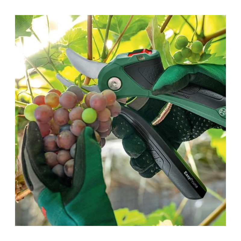 EasyPrune cordless pruner - Bosch