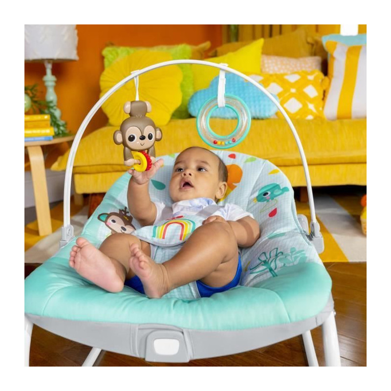 Bright Starts Star Balancel Wild Wild Vibes, soothing vibrations, 2 in