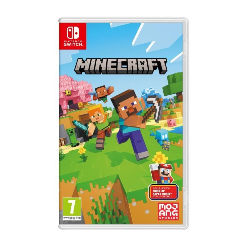 Minecraft Game switch