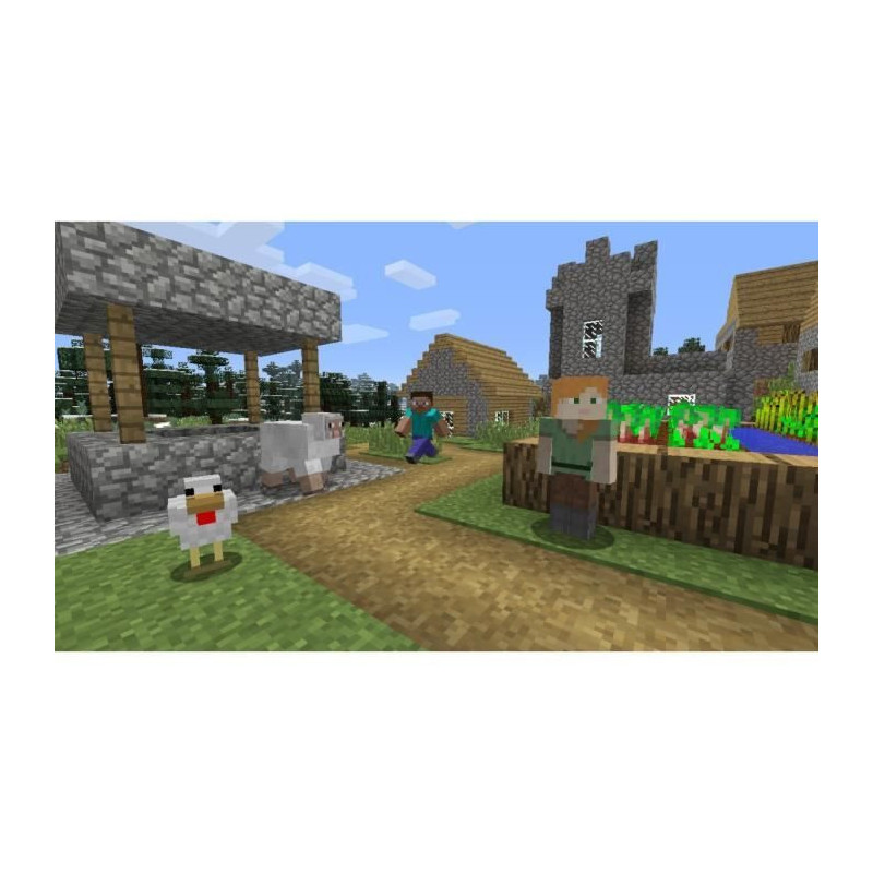 Minecraft Game switch