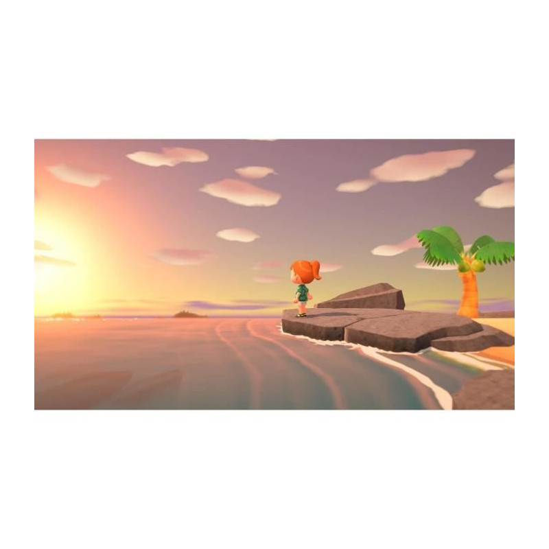 Nintendo Switch Animal Crossing: New Horizons Game