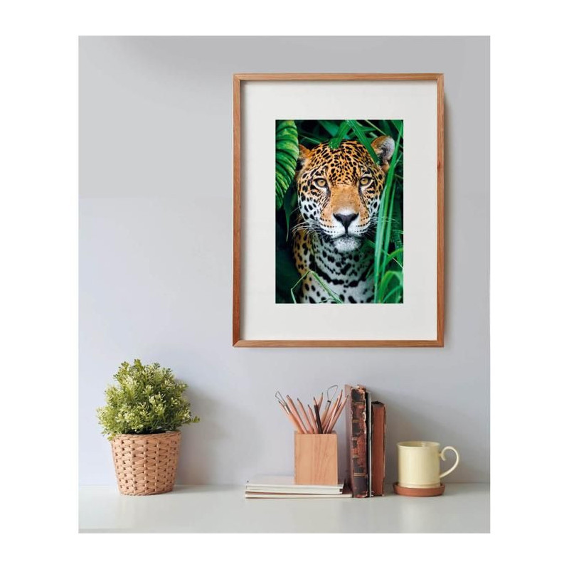 CLEMENTONI - Compact 500 pieces - Jaguar in the jungle
