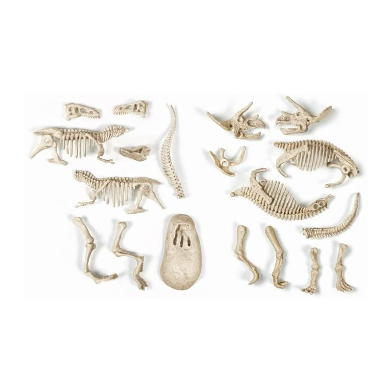 CLEMENTONI Archéo Ludic - T-Rex & Triceratops Phosphorescent - Scienc