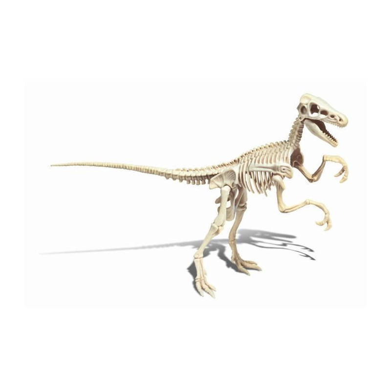 CLEMENTONI Science & Game - Archéo Ludic Vélociraptor - Scientific g