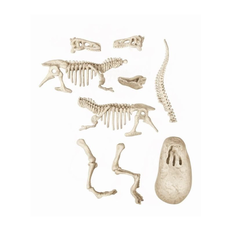 CLEMENTONI Science & Game - Archéo Ludic Vélociraptor - Scientific g