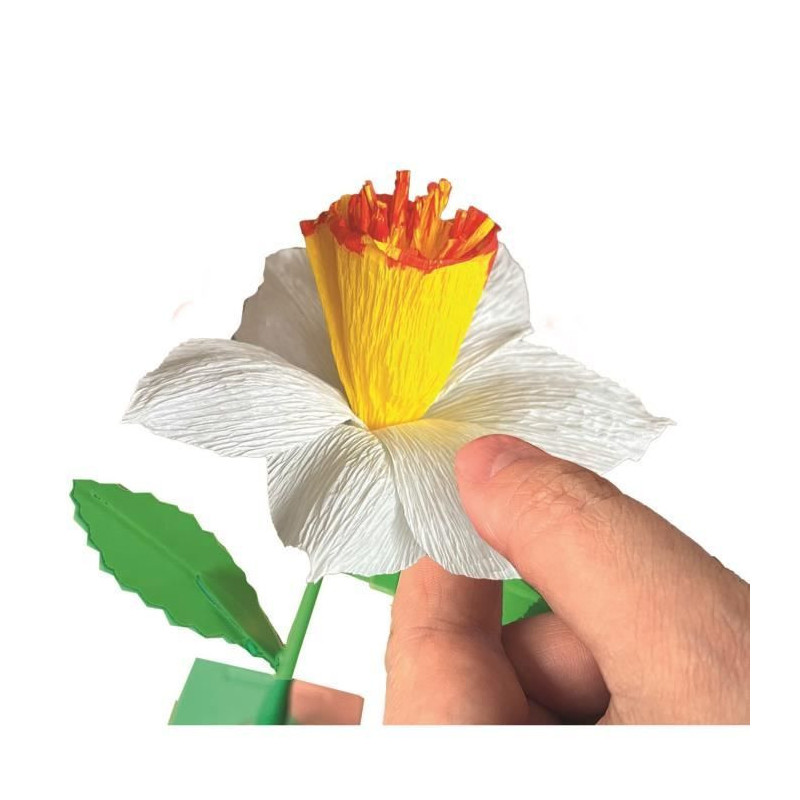 CLEMENTONI - Create your flowers - Narcissus