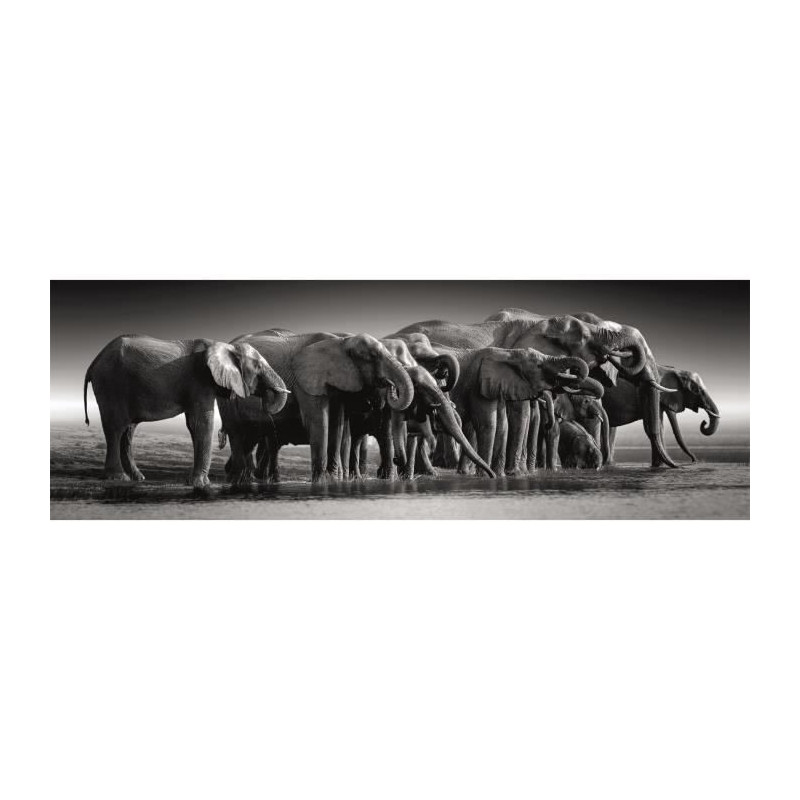 CLEMENTONI - Compact 1000 pieces Panorama - Herd of Giants