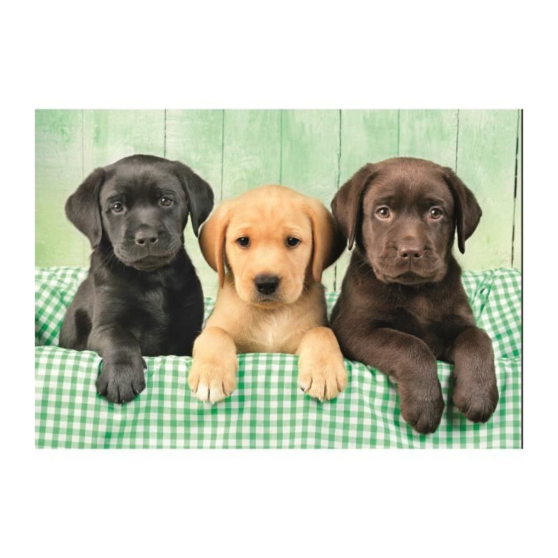 CLEMENTONI - Compact 1000 pieces - Three Labs