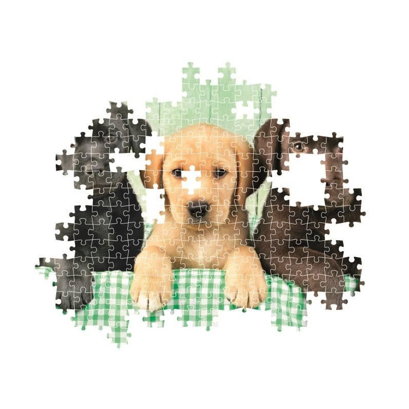 CLEMENTONI - Compact 1000 pieces - Three Labs